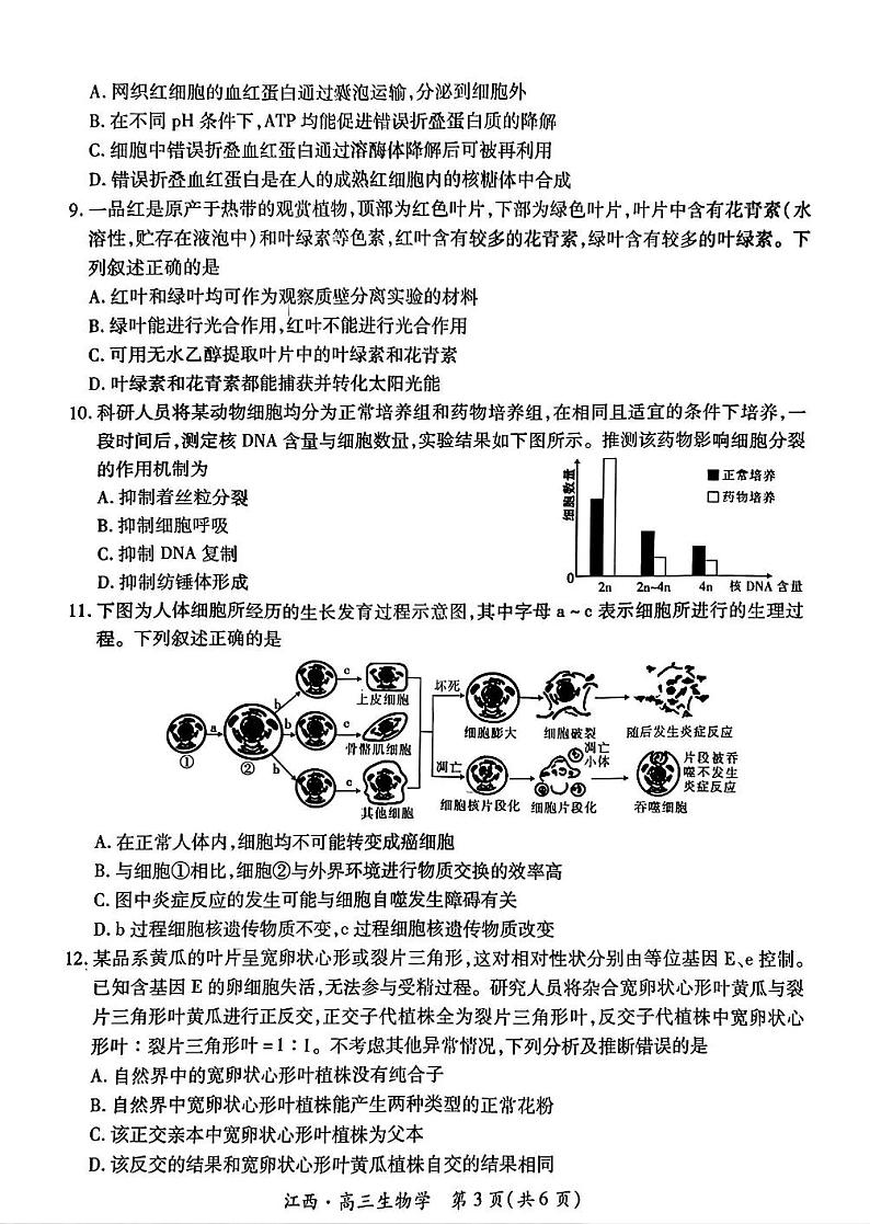 江西省上进联考2024-2025学年高三上学期10月月考生物试题第3页