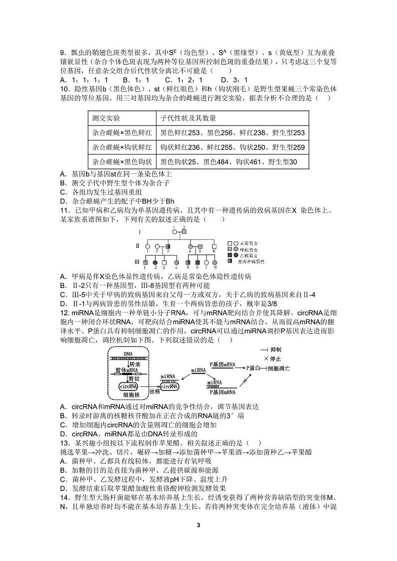 四川省成都市第七中学2024-2025学年高三上学期10月月考生物试题第3页