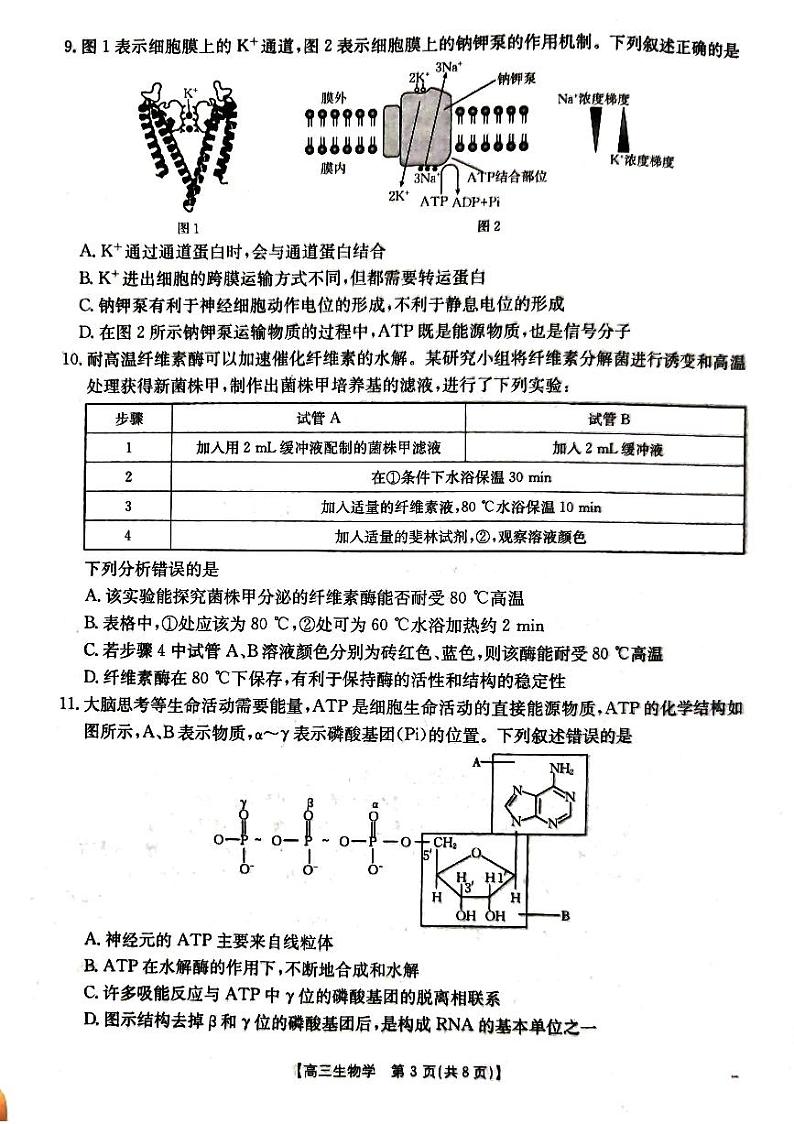 湖北省金太阳百校大联考2024-2025学年高三上学期10月联考生物试题第3页