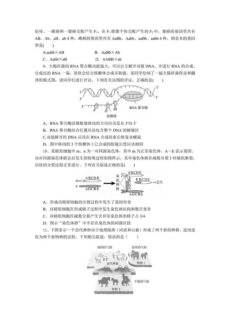 生物丨湖北省随州市部分高中联考协作体2025届高三12月联考生物试卷及答案第3页