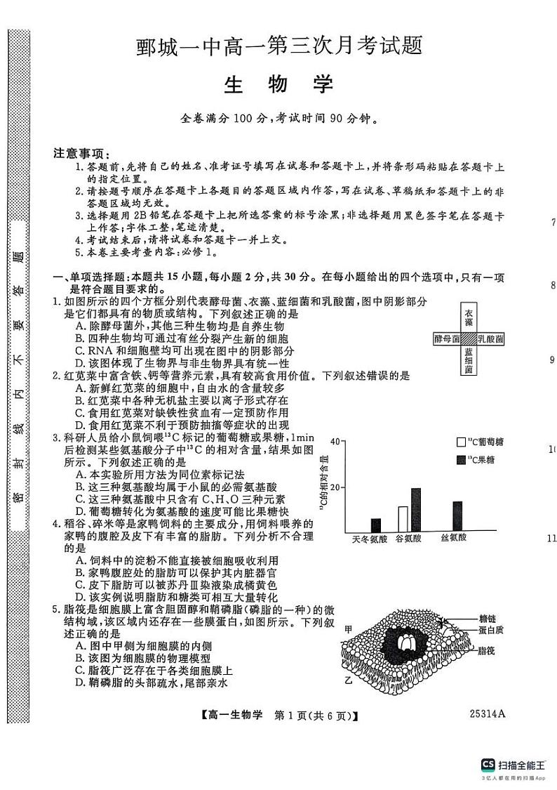 山东省菏泽市鄄城县第一中学2024-2025学年高一上学期第三次月考生物试题第1页