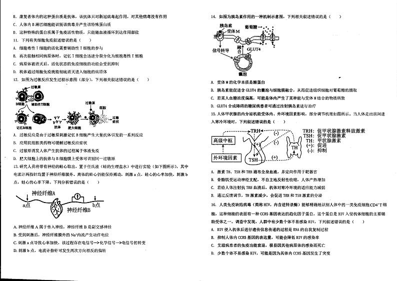 广西壮族自治区柳州市第三中学2024-2025学年高二上学期期中考试生物试题第2页