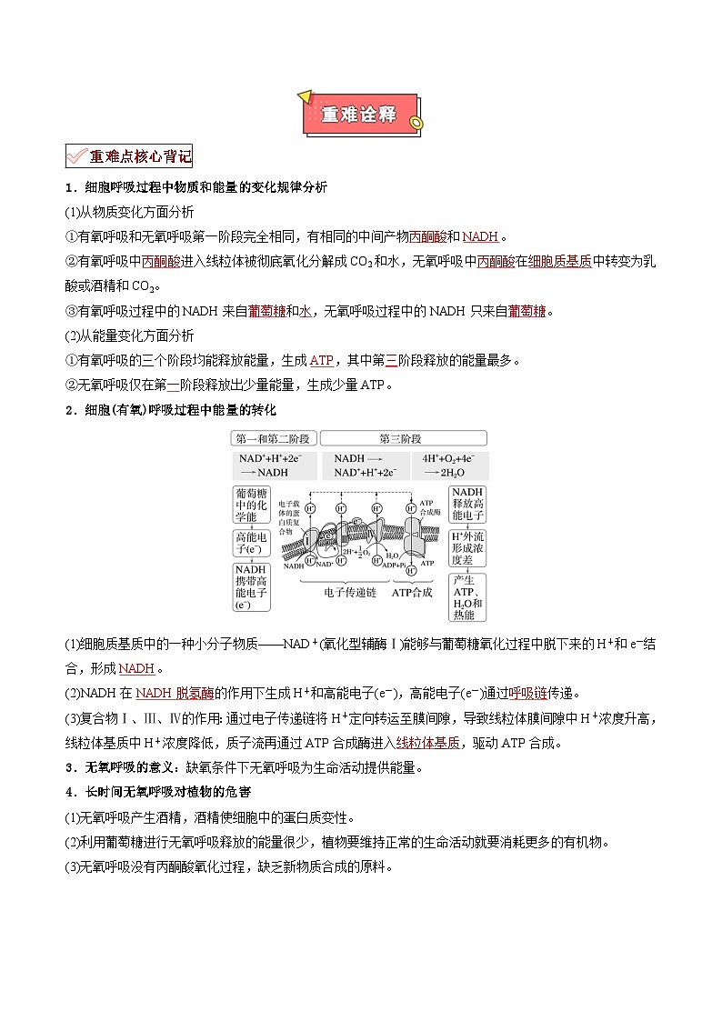 专题05 细胞呼吸的原理和应用-2025年高考生物 热点 重点 难点 专练（新高考通用）（原卷版）第2页