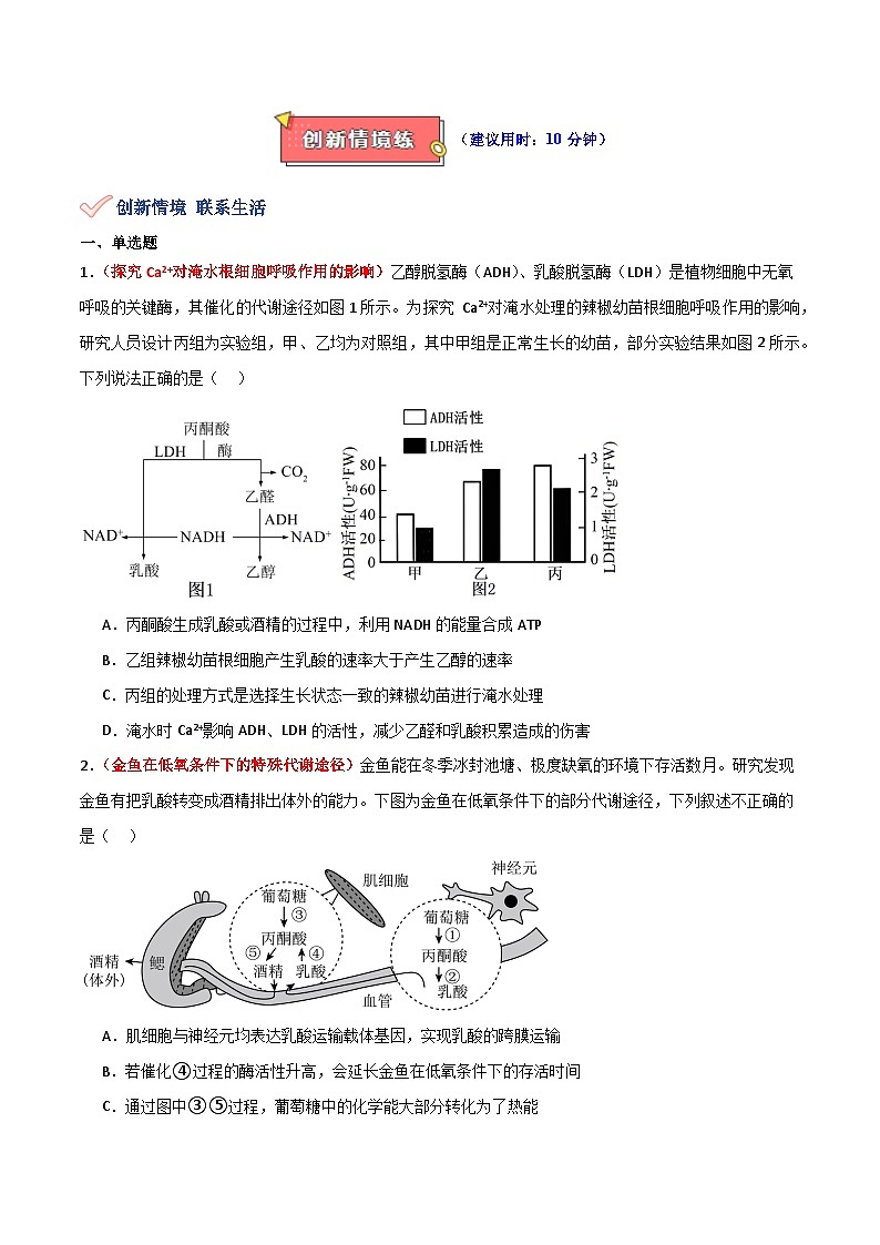 专题05 细胞呼吸的原理和应用-2025年高考生物 热点 重点 难点 专练（新高考通用）（原卷版）第3页