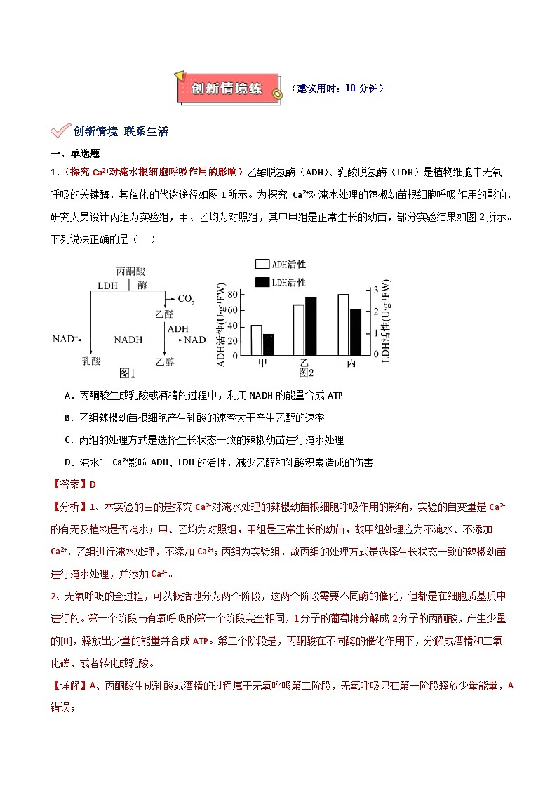 专题05 细胞呼吸的原理和应用-2025年高考生物 热点 重点 难点 专练（新高考通用）（解析版）第3页