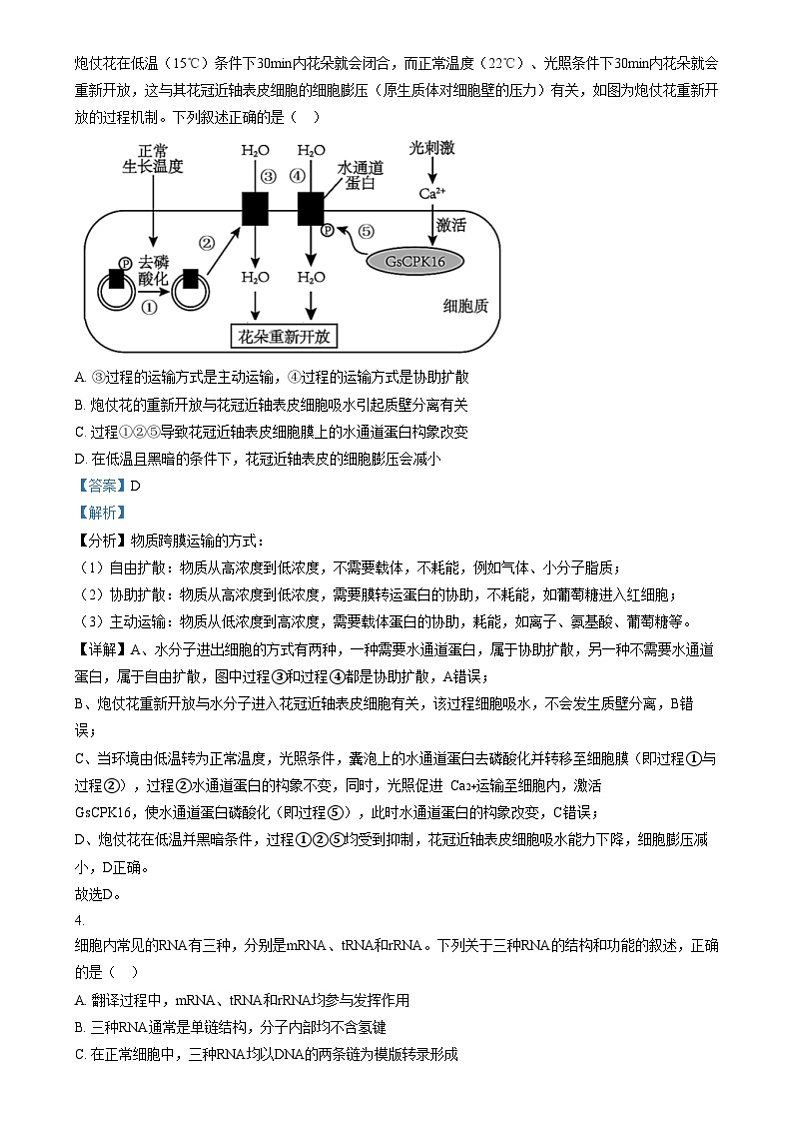 四川省成都市列五中学2024-2025学年高三上学期12月月考生物试卷（Word版附解析）第2页