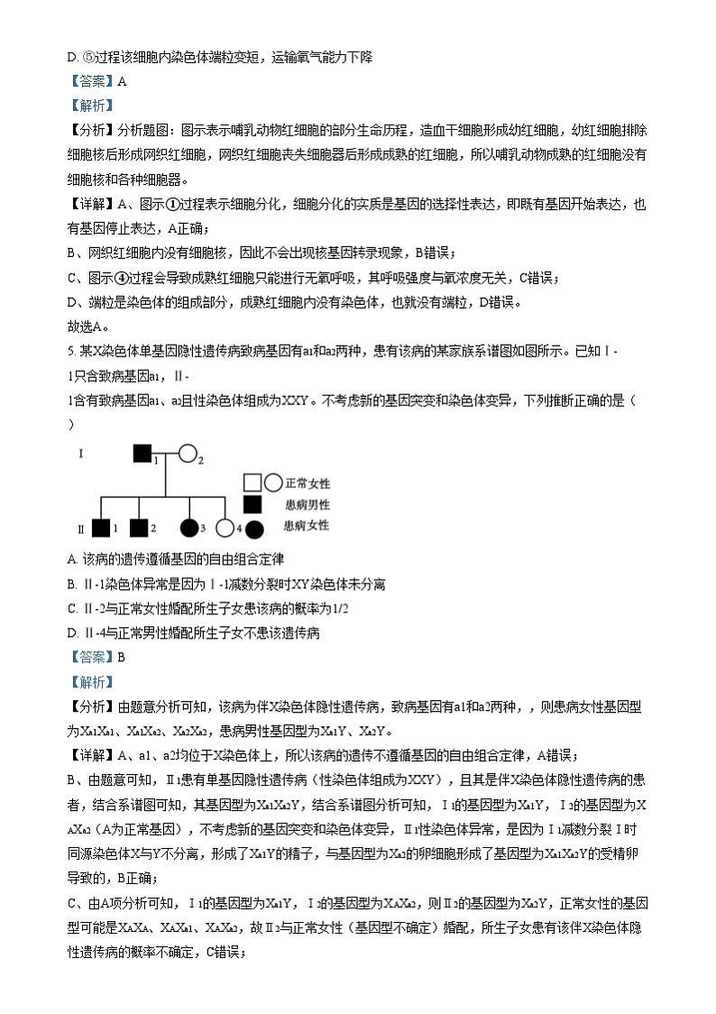 四川省成都市某中学2024-2025学年高三上学期12月月考生物试卷（Word版附解析）第3页