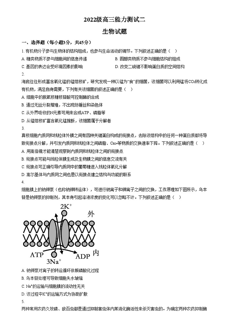四川省绵阳市绵阳中学2024-2025学年高三上学期12月月考生物试题 Word版无答案第1页