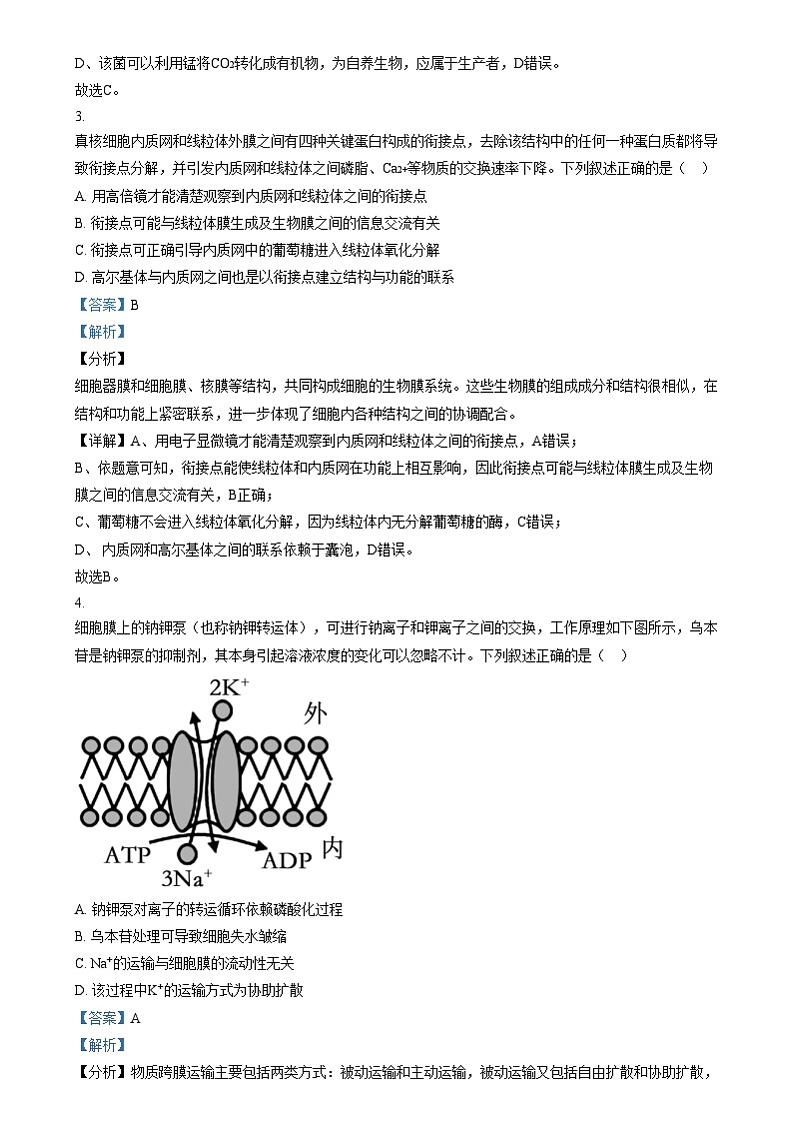 四川省绵阳市绵阳中学2024-2025学年高三上学期12月月考生物试题 Word版含解析第2页