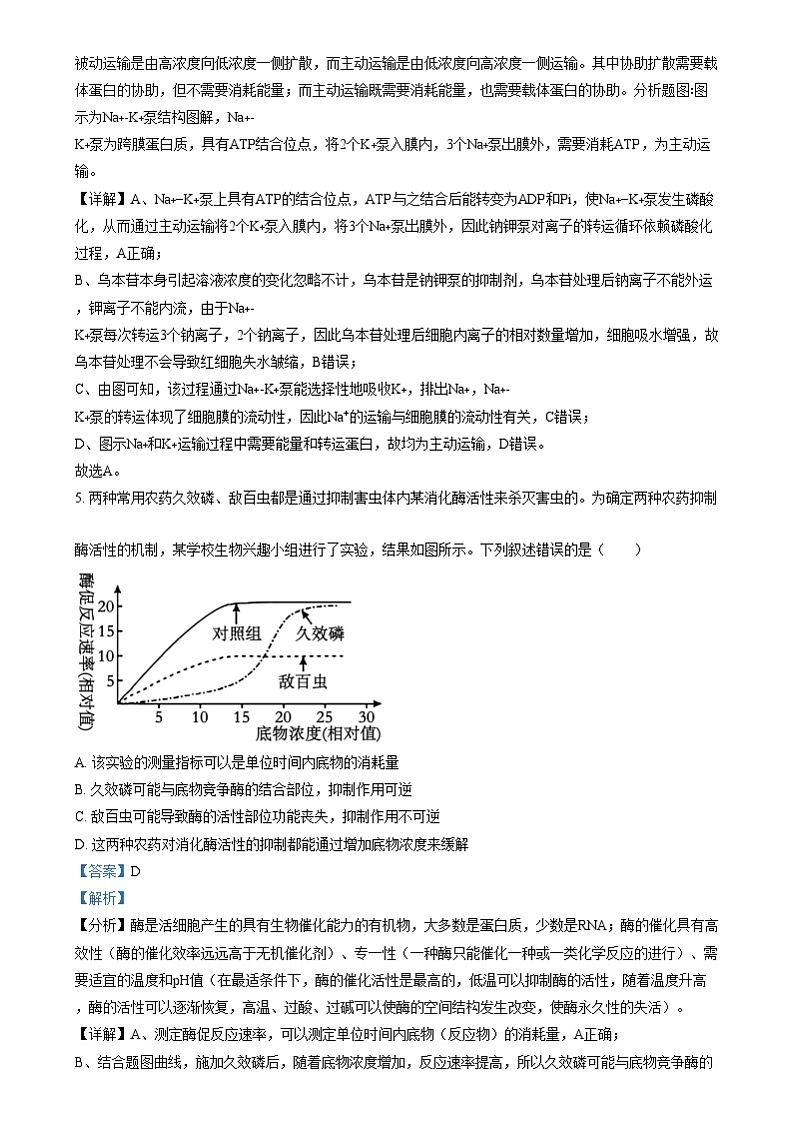 四川省绵阳市绵阳中学2024-2025学年高三上学期12月月考生物试题 Word版含解析第3页