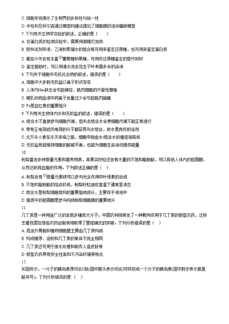 四川省南充高级中学2024-2025学年高一上学期12月月考生物试题 Word版无答案第2页