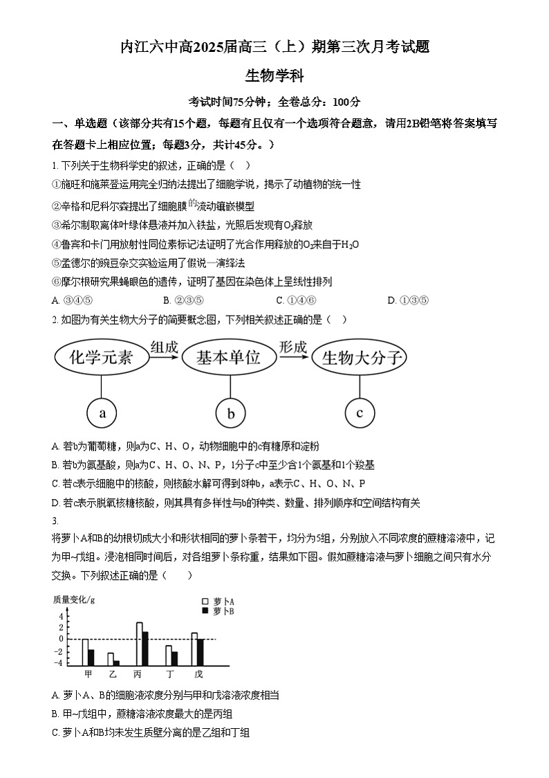 四川省内江市第六中学2024-2025学年高三上学期第三次月考生物试题  Word版无答案第1页