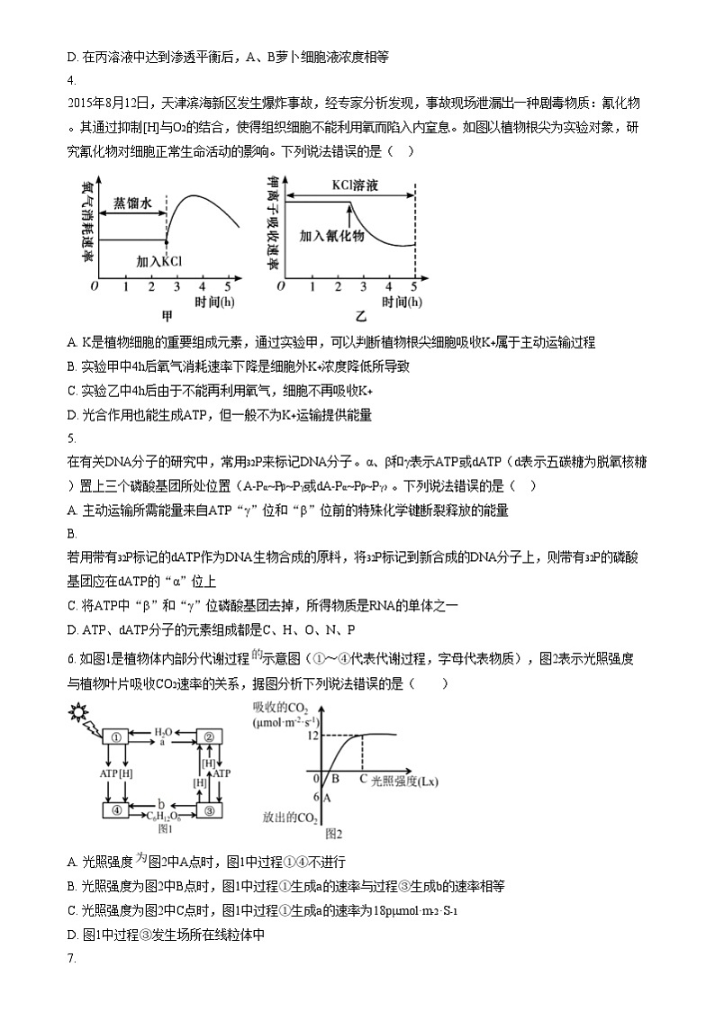 四川省内江市第六中学2024-2025学年高三上学期第三次月考生物试题  Word版无答案第2页