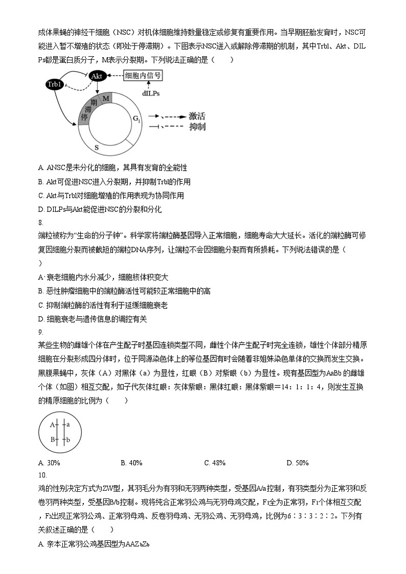 四川省内江市第六中学2024-2025学年高三上学期第三次月考生物试题  Word版无答案第3页