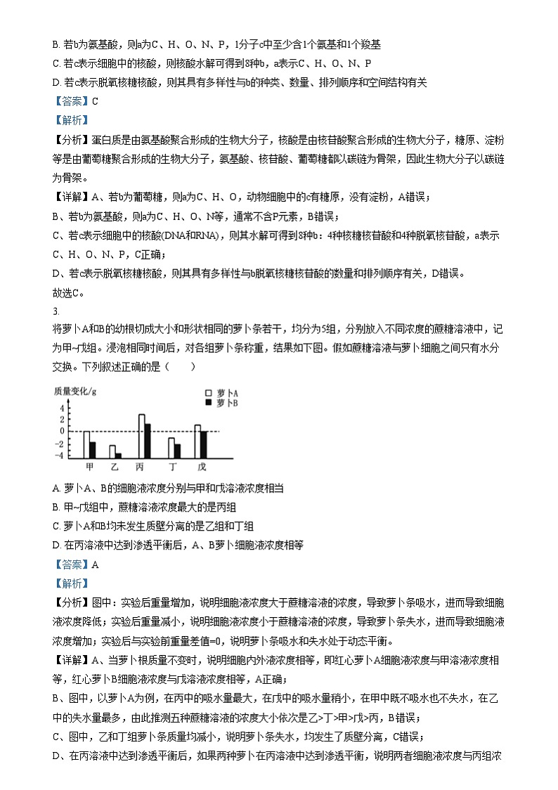 四川省内江市第六中学2024-2025学年高三上学期第三次月考生物试题  Word版含解析第2页