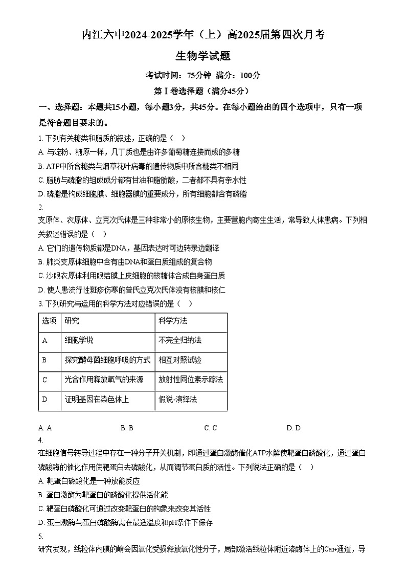 四川省内江市第六中学2024-2025学年高三上学期第四次月考生物试题  Word版无答案第1页