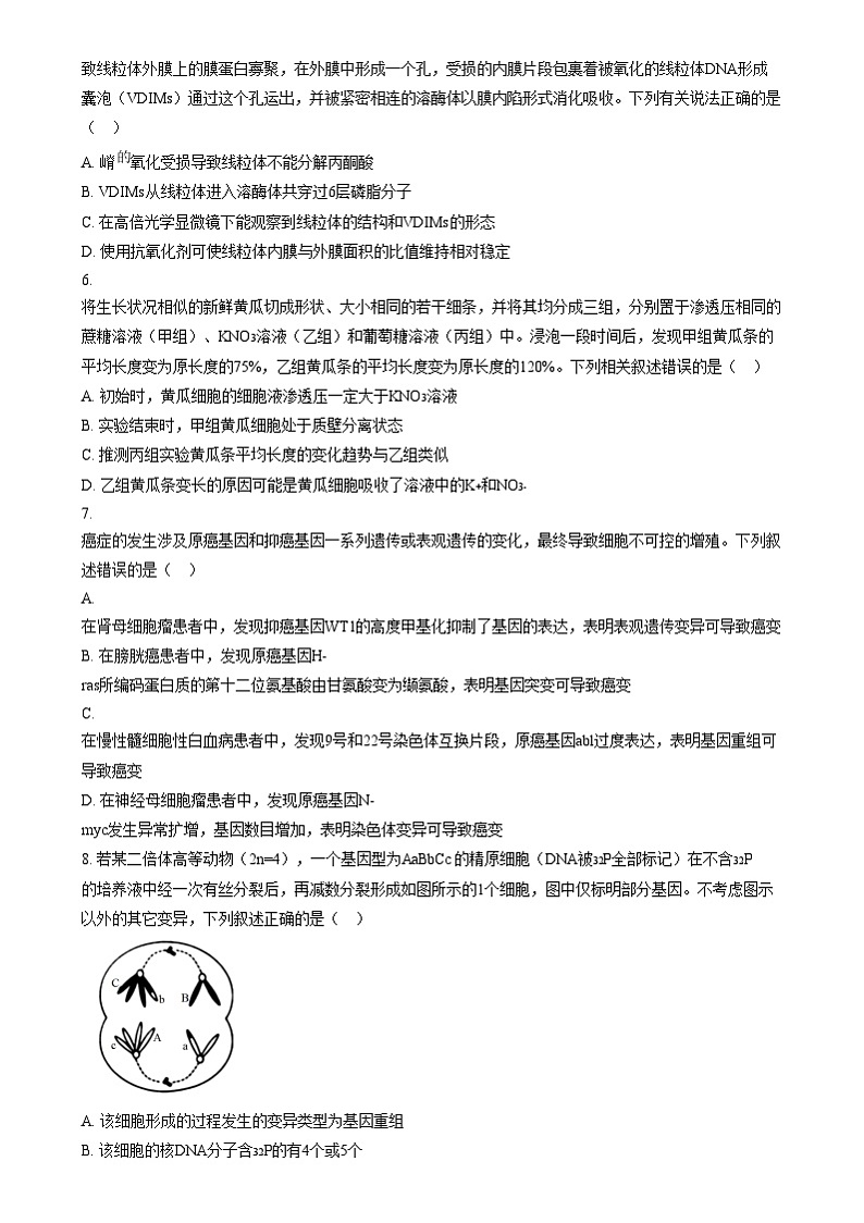四川省内江市第六中学2024-2025学年高三上学期第四次月考生物试题  Word版无答案第2页