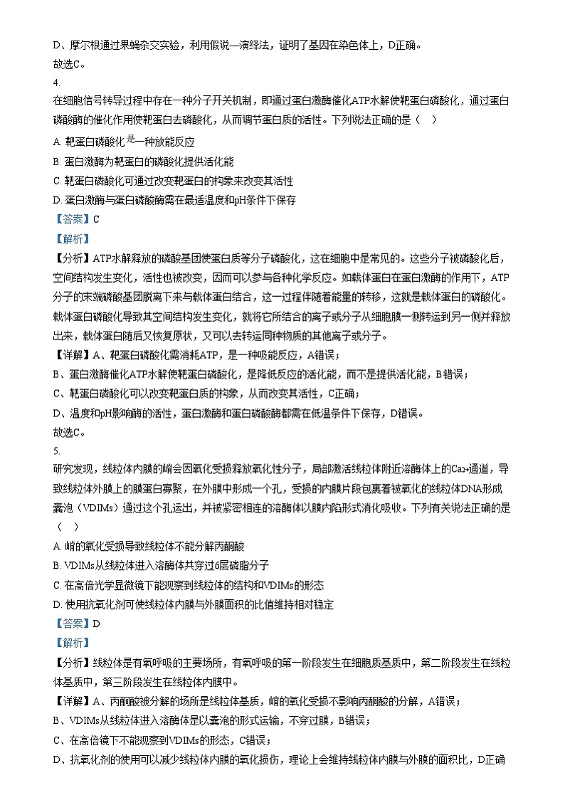 四川省内江市第六中学2024-2025学年高三上学期第四次月考生物试题  Word版含解析第3页