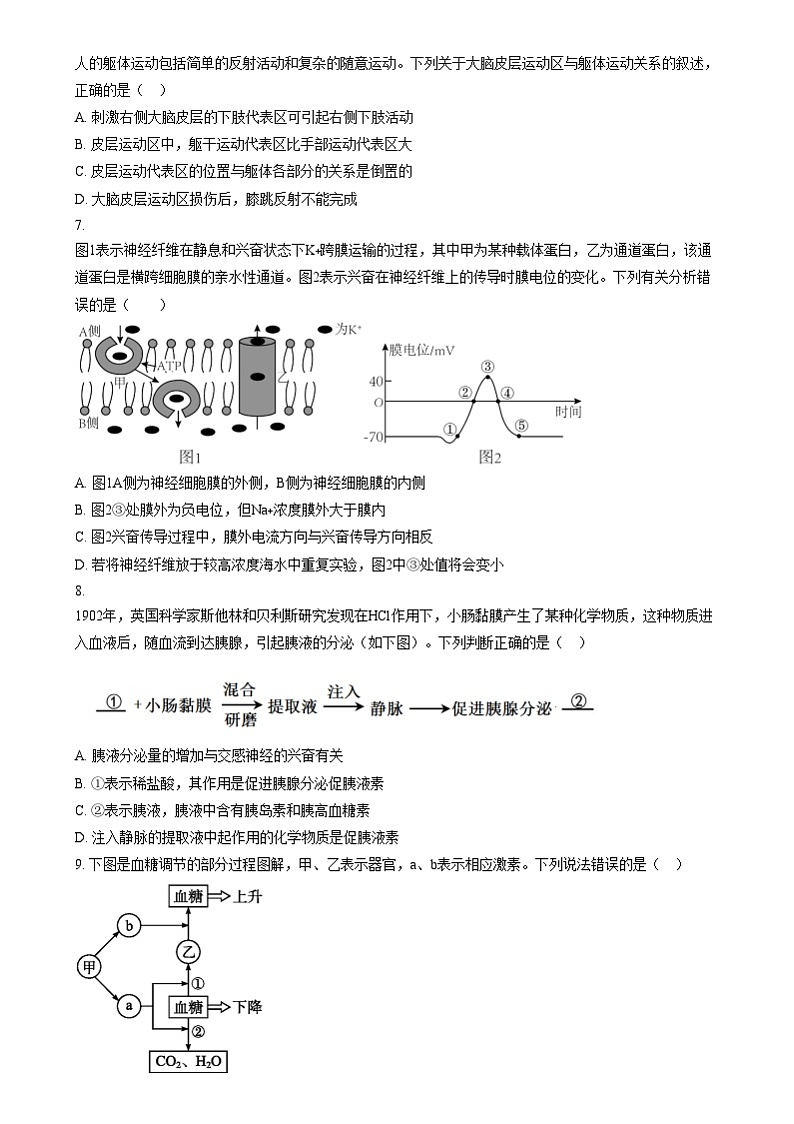 四川省内江市隆昌市第一中学2024-2025学年高二上学期第三次月考生物试题 Word版无答案第2页