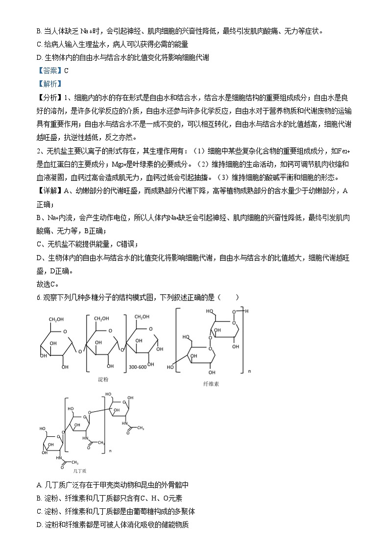 四川省内江市资中县第二中学2024-2025学年高一上学期12月月考生物试卷 Word版含解析第3页