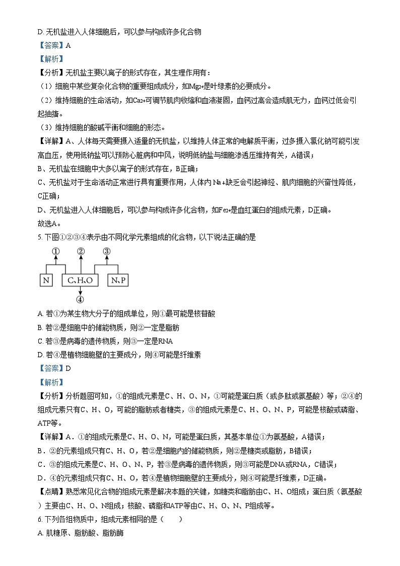 四川省雅安市雅安中学2024-2025学年高一上学期12月月考生物试题 Word版含解析第3页