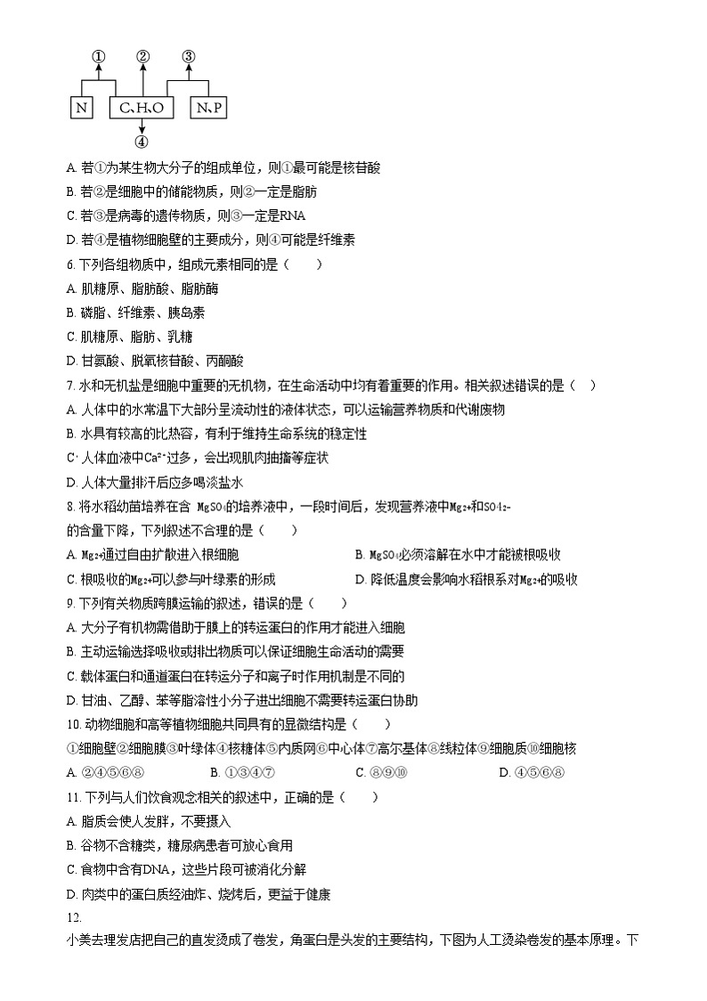 四川省雅安市雅安中学2024-2025学年高一上学期12月月考生物试题 Word版无答案第2页
