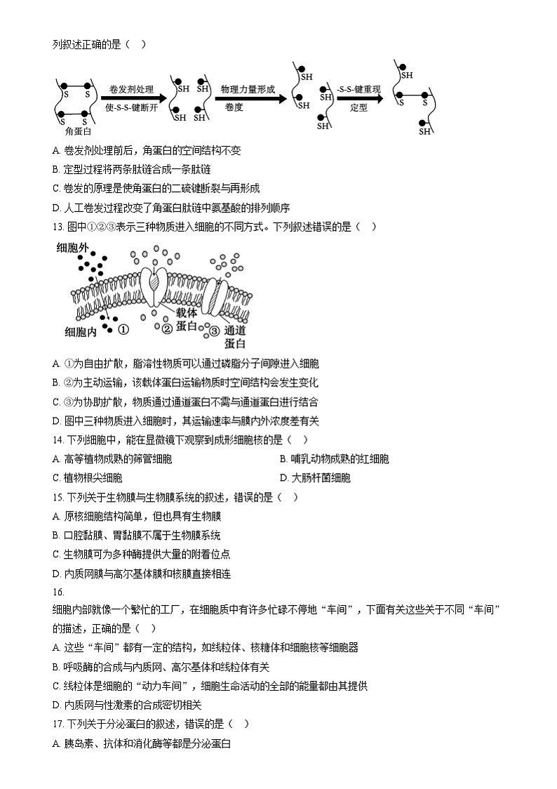 四川省雅安市雅安中学2024-2025学年高一上学期12月月考生物试题 Word版无答案第3页