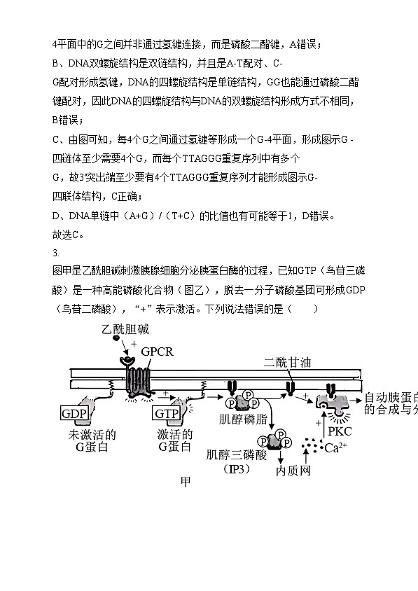 重庆市巴蜀中学2025届高三适应性月考卷（四）生物试题 Word版含解析第3页