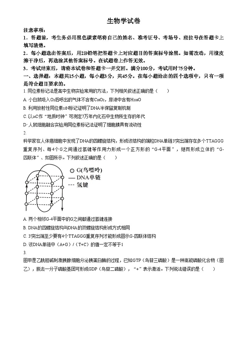 重庆市巴蜀中学2025届高三适应性月考卷（四）生物试题 Word版无答案第1页
