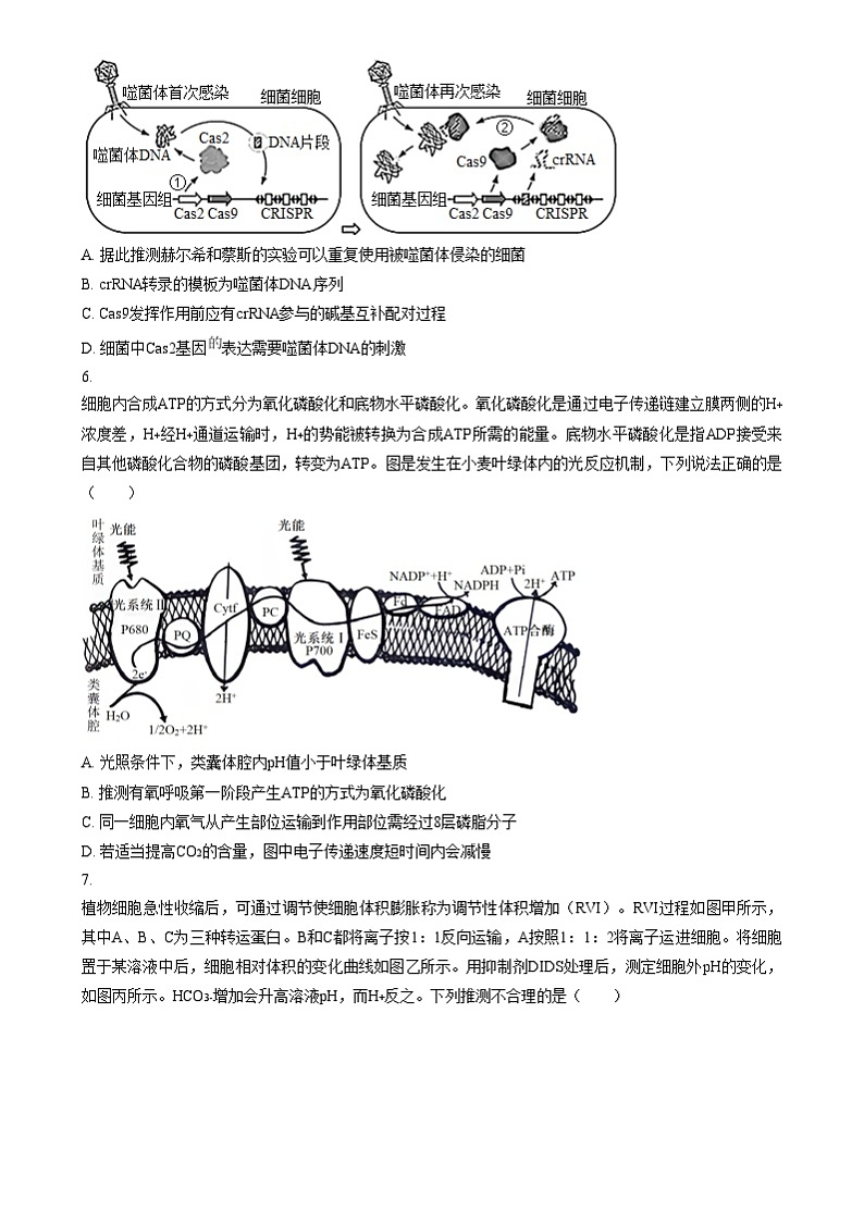 重庆市巴蜀中学2025届高三适应性月考卷（四）生物试题 Word版无答案第3页