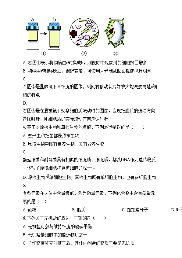 重庆市第八中学2024-2025学年高一上学期12月月考生物试题 Word版无答案第2页