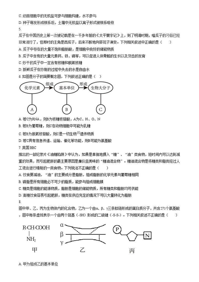 重庆市长寿区重庆市长寿中学2024-2025学年高一上学期12月月考生物试题 Word版无答案第2页