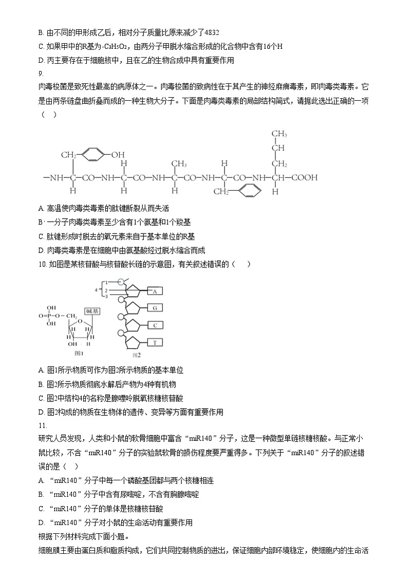 重庆市长寿区重庆市长寿中学2024-2025学年高一上学期12月月考生物试题 Word版无答案第3页