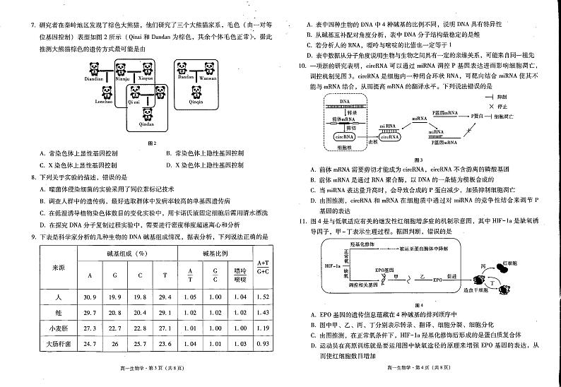 云南省保山市2023-2024学年高一下学期期末检测生物试题第2页