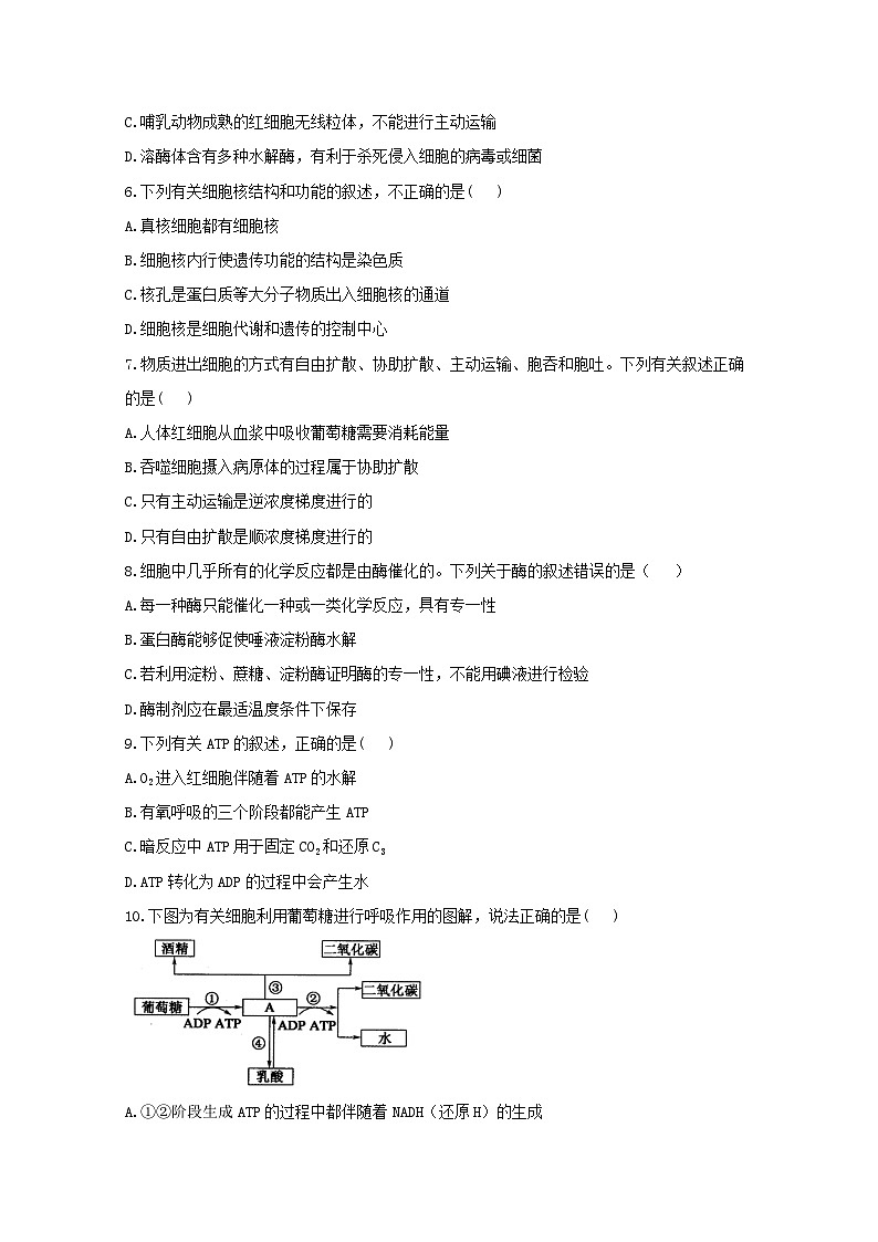 云南省会泽县茚旺高级中学2023-2024学年高一下学期3月月考生物试题 第2页
