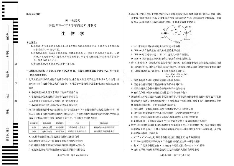 安徽省天一大联考2025届高三上学期12月联考-生物试题+答案第1页