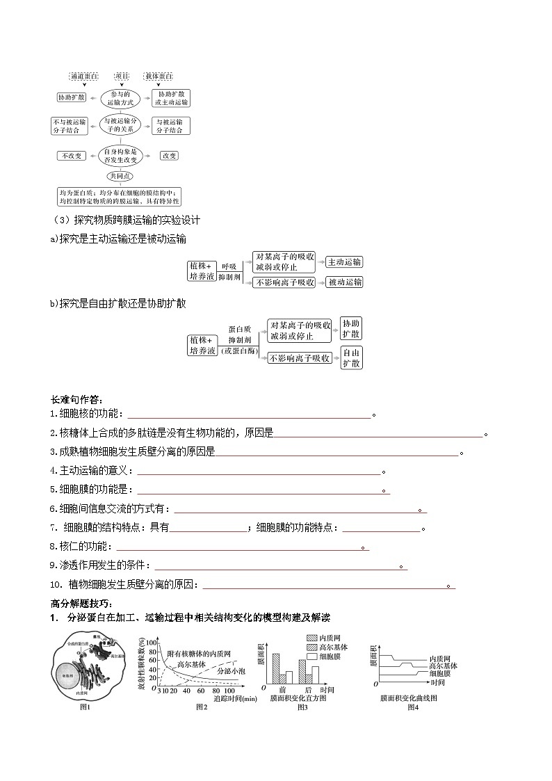 专题02 细胞的结构基础-2025年高考生物 热点 重点 难点 专练（西北四省专用）（陕西、山西、宁夏、青海）（原卷版）第3页