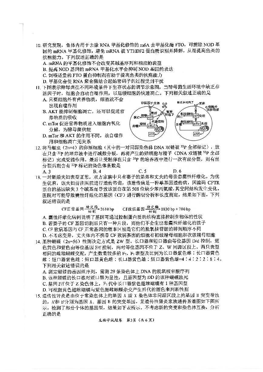 绵阳市高中2022级第一次诊断性考试生物第3页