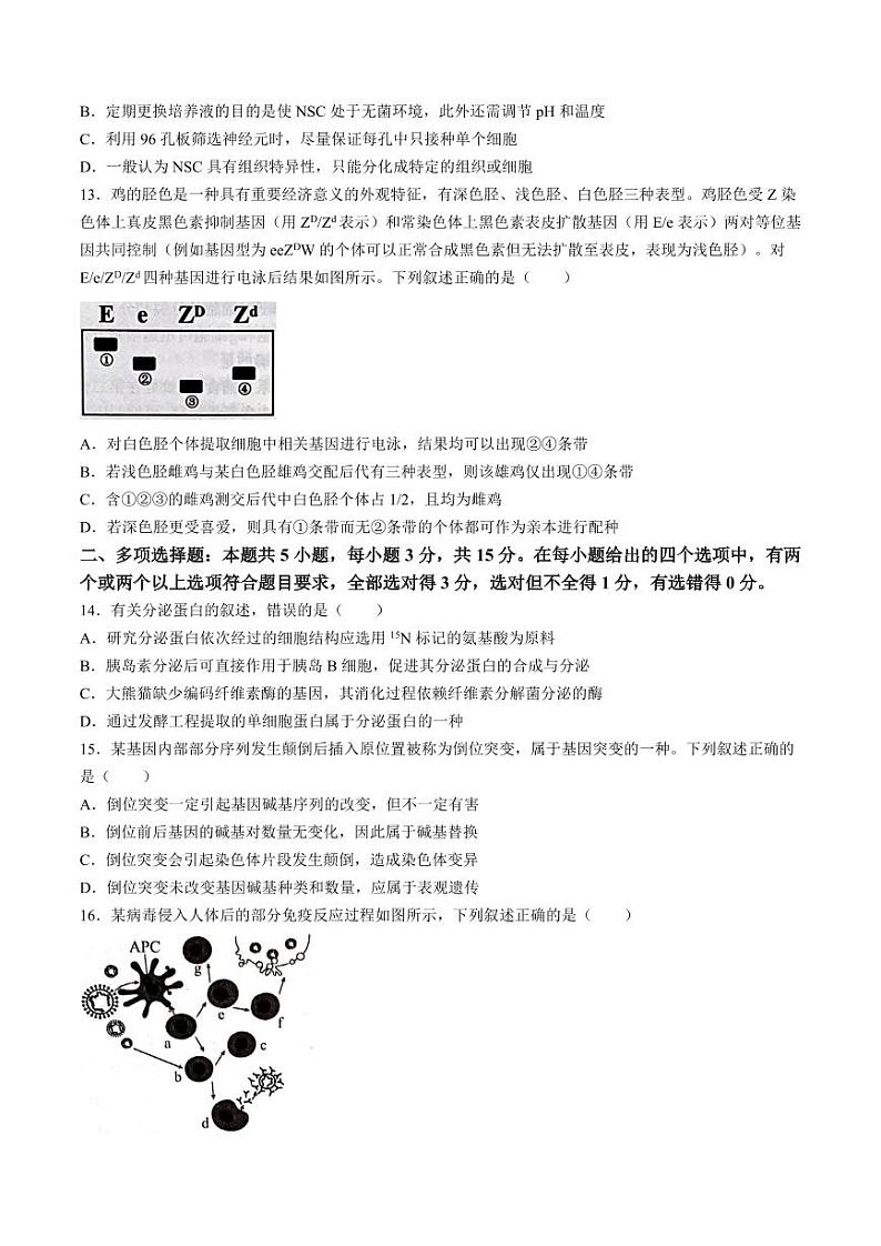 河北省石家庄市2025届高三上学期教学质量摸底检测生物试题第3页