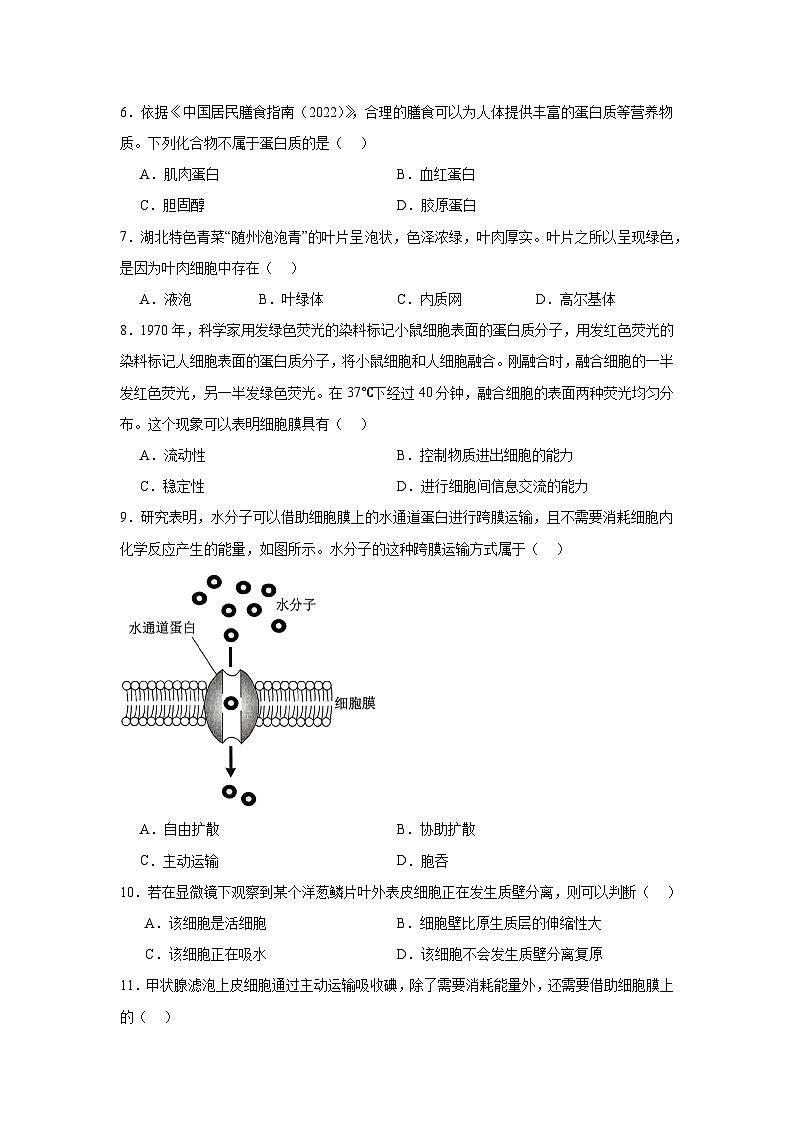 2024年湖北省普通高中学业水平合格性考试生物试题第2页