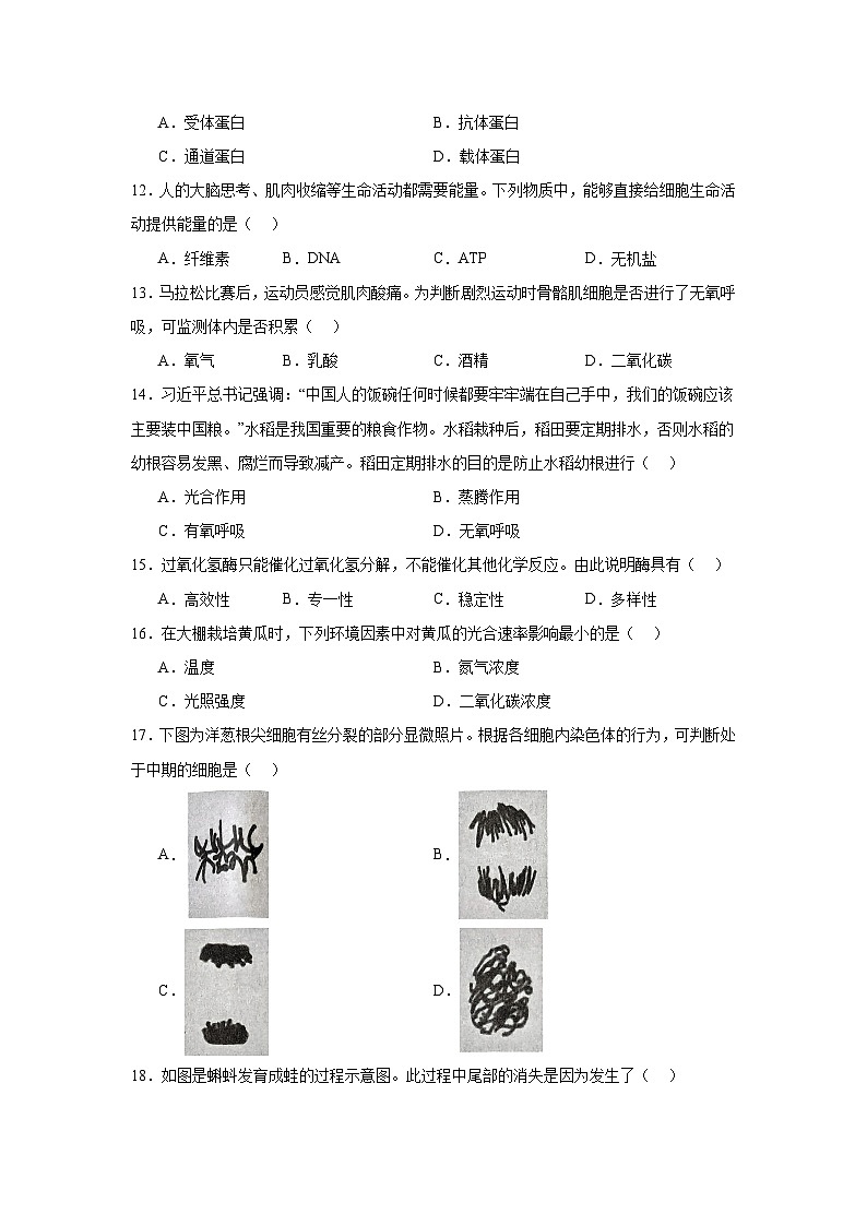 2024年湖北省普通高中学业水平合格性考试生物试题第3页