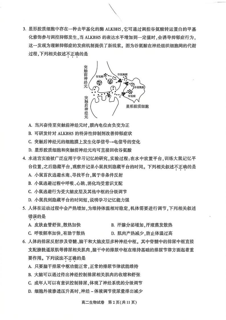 北京市朝阳区2024-2025学年高二上学期1月期末质量检测生物试卷第2页