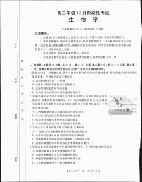 广西部分学校2024-2025学年高二上学期12月阶段性考试生物试题