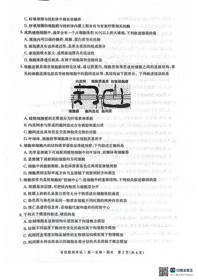 河北省邯郸市涉县第一中学2024-2025学年高一上学期期末考试生物试题第2页