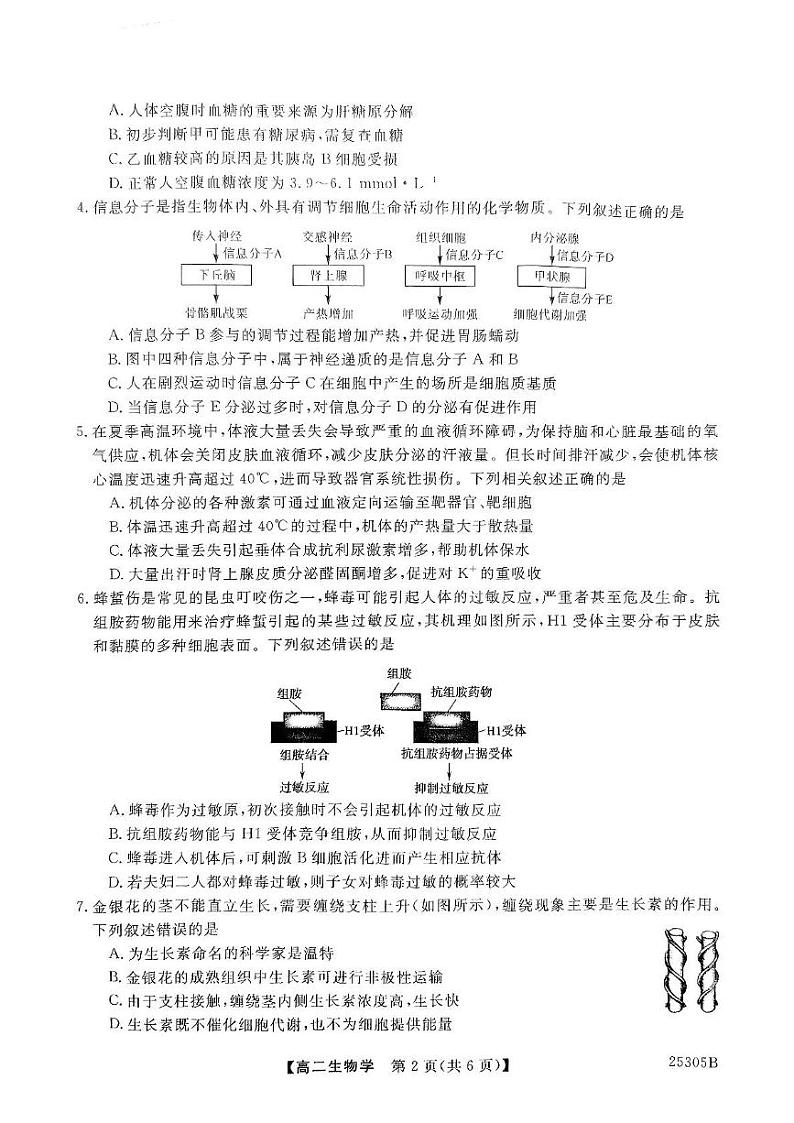 河南省新未来2024-2025学年高二上学期1月期末生物试题第2页
