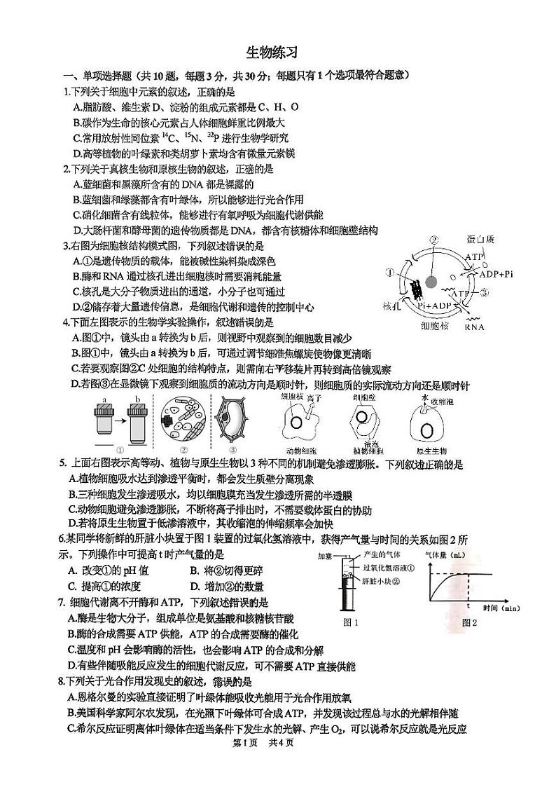 江苏省南京市南京师范大学附属中学2024-2025学年高一上学期12月月考生物试卷第1页
