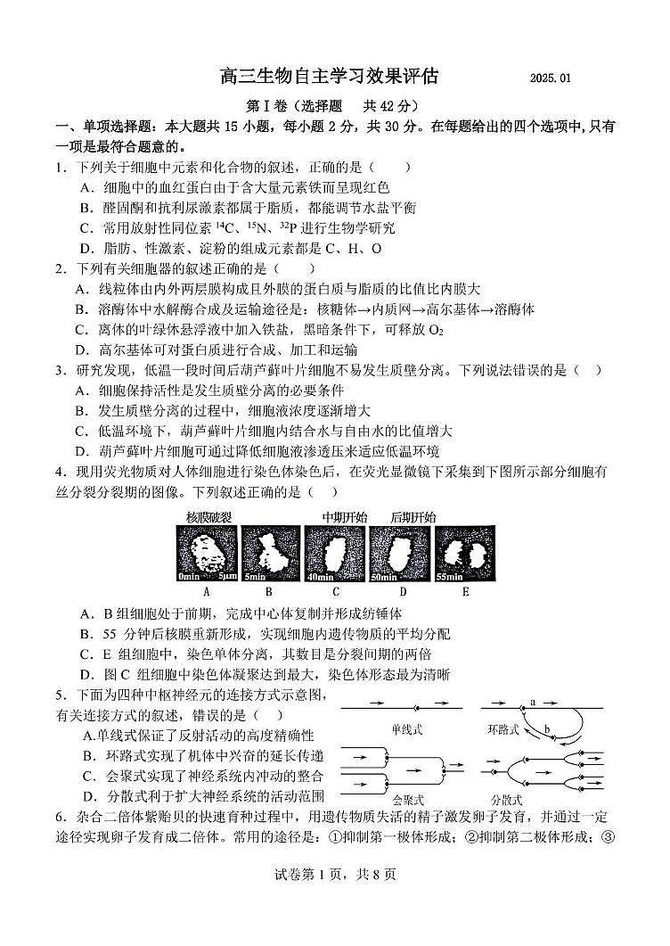 江苏省扬州市广陵区扬州中学2024-2025学年高三上学期1月月考生物试题第1页