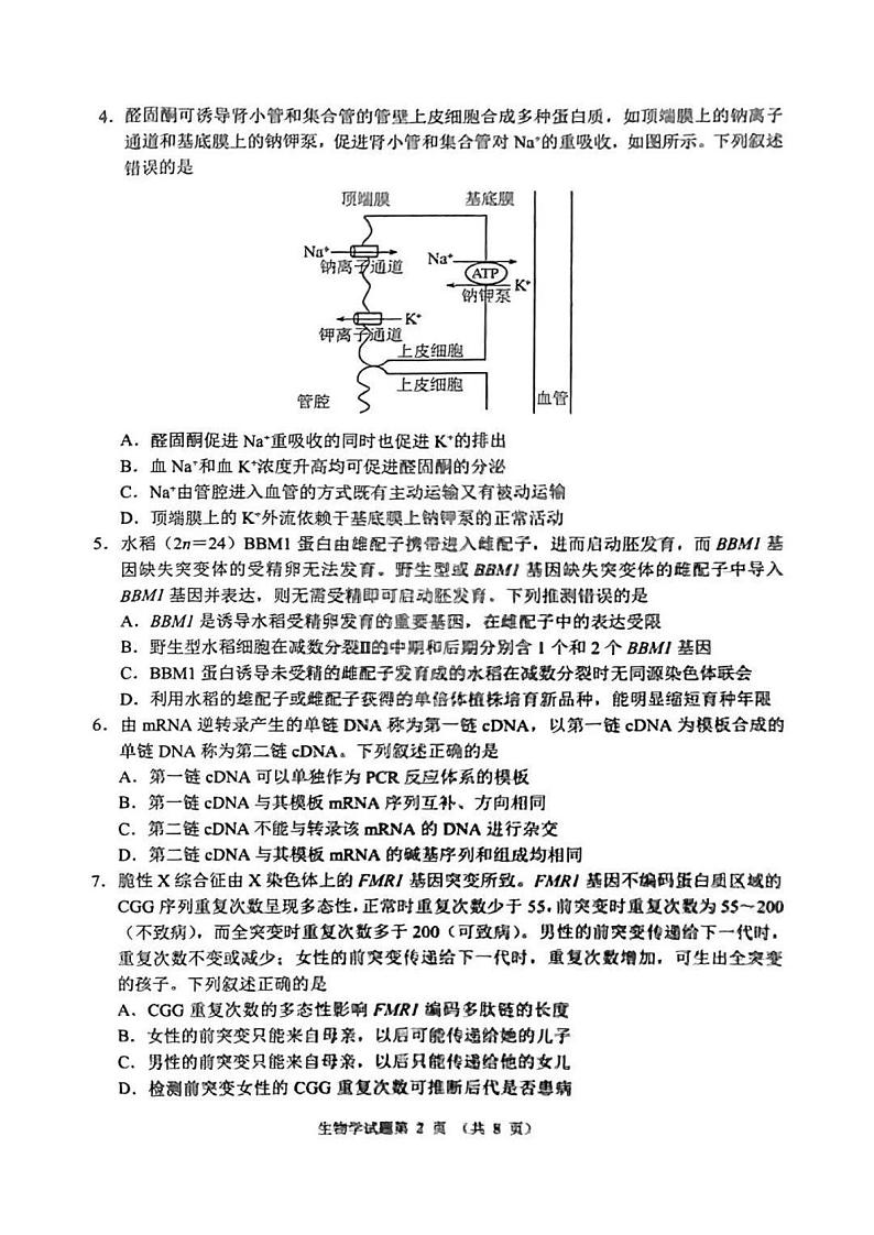 2025八省联考1月高三高考综合改革适应性演练测试生物试卷（河南）扫描版无答案第2页