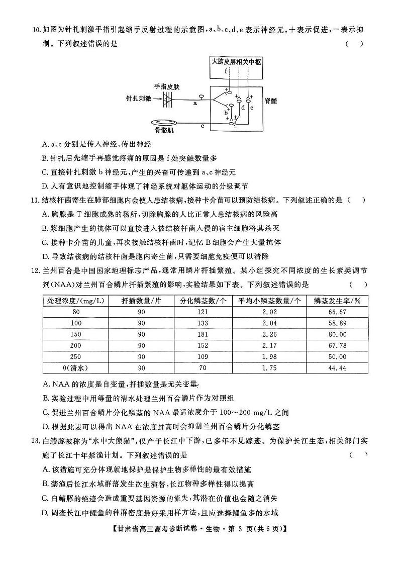 2025甘肃省高三上学期12月高考诊断考试生物试题扫描版含解析第3页