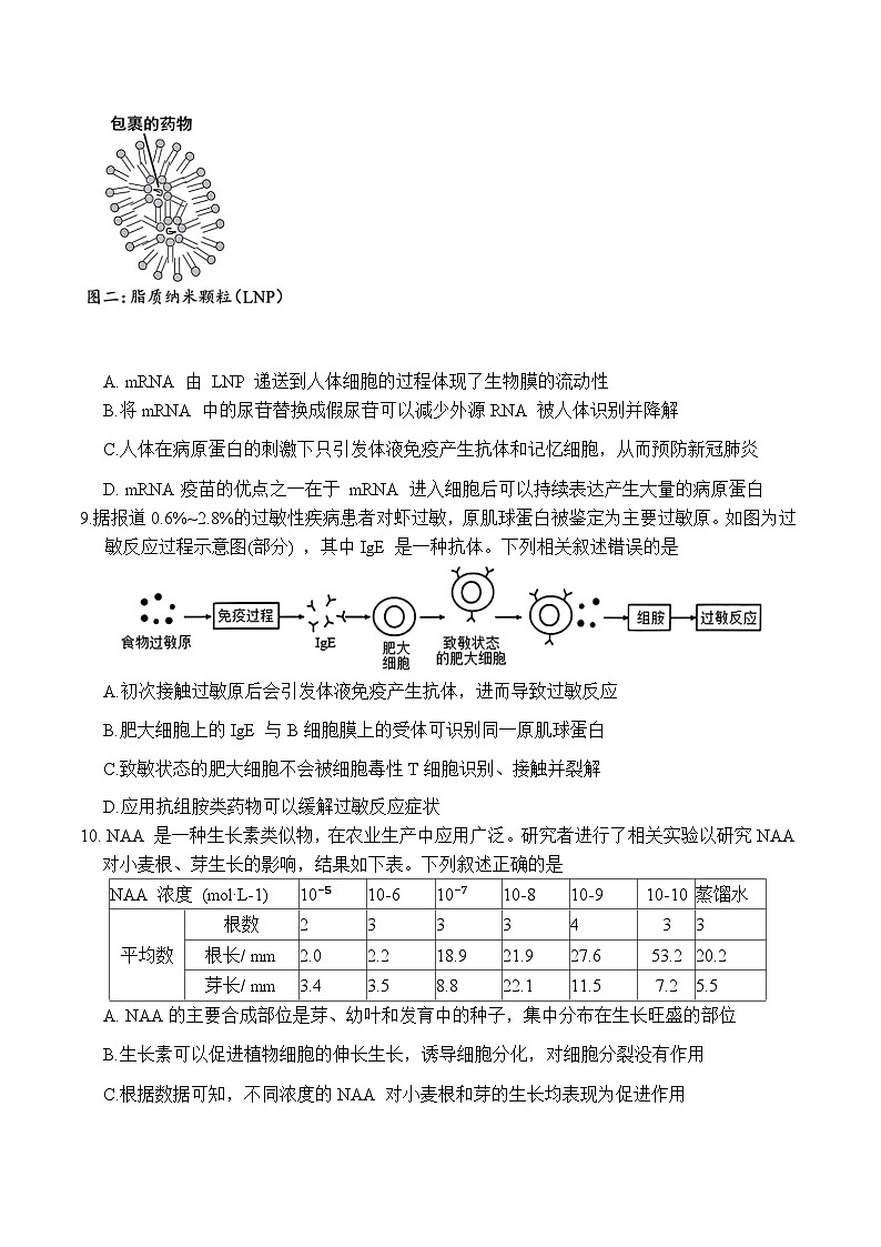 湖北省云学联盟2024-2025学年高二上学期12月月考生物试卷第3页